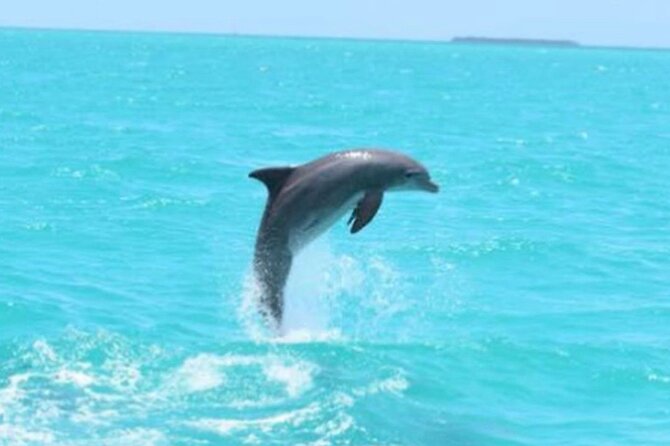 Key West Full-Day Island T’ing Eco-Tour: Sail, Snorkel and Kayak Adventure Image 3